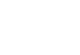 Otolaps